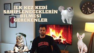 İLK KEZ KEDİ SAHİPLENECEKLERİN BİLMESİ GEREKENLER KEDİ BAKIMI