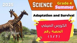 الكورس الصيفي | Grade 4 | الحصة رقم ( 1/7 ) | Adaptation and Survival