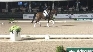 Carl Hester Masterclass:  Building Blocks of a Magical Trot!