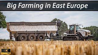  Big Farming in East Europe 2023 - Farming XXL - BEST OF 2023 ▶ Agriculture Germanyy