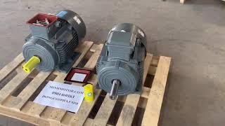 Nhà cung cấp Động cơ điện Siemens hương hiệu Đức, chính hãng Beide Grade 3, 0901460163, MINHMOTOR