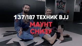 Маунт снизу / Бразильское джиу-джитсу