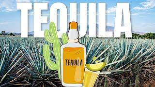 Tequila Making Process I Types of Tequila I Alcohol percentage I Tequila Blanco I Añejo Tequila I