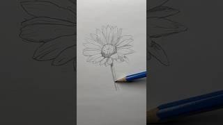 Draw a flower  Easy drawing lesson for beginners on how to draw a flower. #drawinglesson#howtodraw