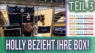 Holly bezieht den Stall! | Teil 3 - One Week With Me | BinieBo