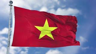 Vietnam Flag Animation Motion Graphics