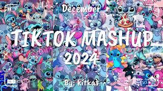 TIKTOK MASHUP DECEMBER 2024 (NOT CLEAN) 