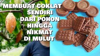 Cara Membuat Coklat Batangan Sendiri Dari Biji Cacao