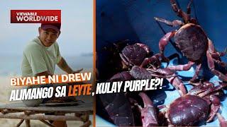 Alimango sa Leyte, kulay purple?! | Biyahe ni Drew