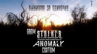 Пробую Сталкер Аномали Кастом (S.T.A.L.K.E.R. ANOMALY CUSTOM). 1 Серия возможно последняя)