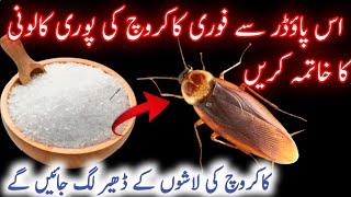 How To Get Rid of Cockroaches in Kitchen | How To Remove cockroaches From Home | Homemade remedies