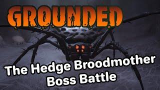 Grounded: The Hedge Broodmother Boss Battle