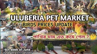 ULUBERIA PET MARKET BIRD'S PRICES UPDATE ON 4th WEEK OF JUNE. #uluberia_pet_market #cheapestprice