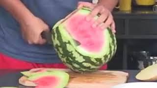 Сизд Режет Арбуз/Seized Cuts watermelon