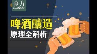 【食科普】啤酒釀造原理全解析