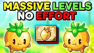 FREE LEVELS SUPER QUICKLY - MapleStory Golden Strawberry Event Guide