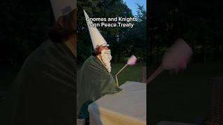 Gnomes vs Knights: Signing a Peace Treaty! #funny #trending #gnomes #gnome #knight #war