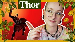 The Norse Gods: Thor || Who is the Norse god Thor and what is working with him like?