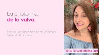 La anatomía de tu vulva con la Dra. Klara Senior