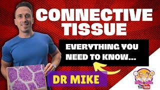 Connective Tissue | Everything you need to know!