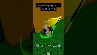 Day 5  rolling a fruit in blox fruit  #roblox #shortsfeed #bloxfruits #bloxfruitsroblox