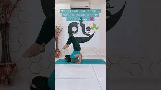 Backbends Dream Love #yogarimaa #yoga #youtube #beginnersyoga #health #flexibility #backbending #You