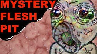 MYSTERY FLESH PIT - AZFK COMPILATION