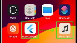 Changing App Icon And app display Name in Flutter || Android & IOS  || Manual & Automatic