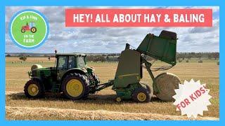 Hey! It's Haymaking Time: Kip and Finn's Farm Adventure 