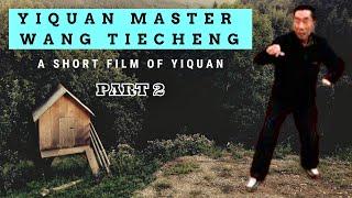 Yiquan Master Wang Tiecheng Part 2 #yiquan #dachengquan #wangxiangzhai