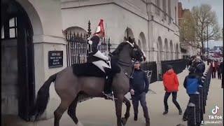 8 times the kings guard used their horse to move tourist's away #horseguardsparade