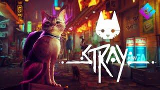 ПРИКОЛЬНЫЙ ЧЕЛИК ! |Stray| # 1 Прохождение