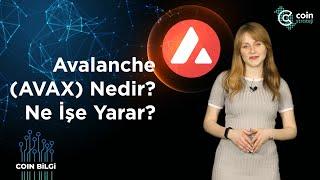 Avalanche (AVAX) Nedir? Ne İşe Yarar? | Coin Bilgi