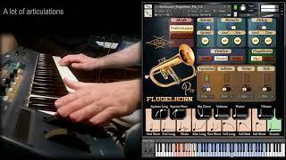 Flugelhorn Kontakt sample library, brass orchestral vst instrument