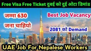 Free Visa Free Ticket 2024 || UAE Job For Nepalese Workers || Best Job Vacancy In Dubai ||