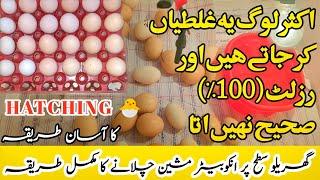 How to use Egg Incubator |Beginners Guide to Hatching Eggs |Tips for Better Hatching Result by aamir