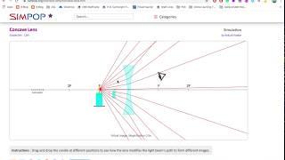 Concave Lens Simulation