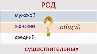 Русский язык. Род существительных.Сложные случаи определения рода. Видеоурок