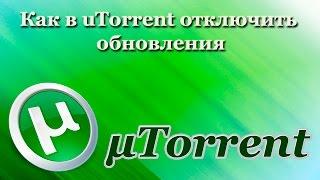 Как в uTorrent отключить автопроверку обновлений