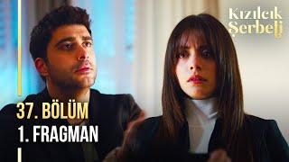 ​Kızılcık Şerbeti 37. Bölüm 1. Fragman | "Benimle evlenir misin?"