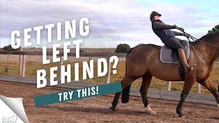 Horse Riding Lesson - Quick Tips To Improve Your Transitions