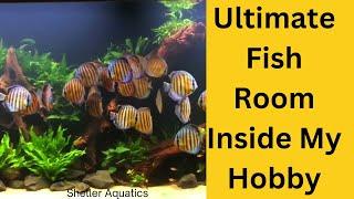 "Home Fish Room Tour – An Exclusive Look Inside!"