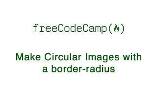 Basic CSS: Make Circular Images with a border radius | freeCodeCamp