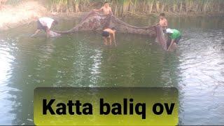 Katta BALIQ ovi