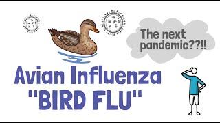 Avian Influenza - an introduction