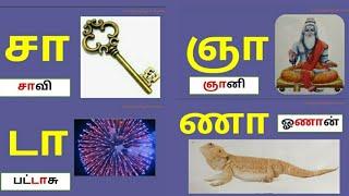 தமிழ்|உயிர் மெய் எழுத்துக்கள்|கா ஙா சாவரிசை|செந்தமிழ்ச்சுவடி