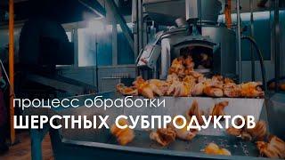 Технологический процесс обработки шерстных субпродуктов FELETI | Wool offal processing machine