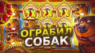 ОГРАБИЛ СОБАК В THE DOG HOUSE | ЗАНОС ПО КРУПНОЙ СТАВКЕ В БОНУСКЕ ДОГ ХАУС 1win