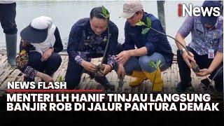 Gandeng 2 Kementerian, Menteri LH Hanif Pastikan Jalur Pantura Demak Bebas Banjir | News Flash