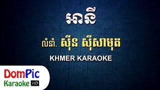 អានី ស៊ីន ស៊ីសាមុត ភ្លេងសុទ្ធ - A Ny Sin Sisamuth - DomPic Karaoke